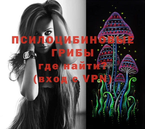 apvp Дмитриев