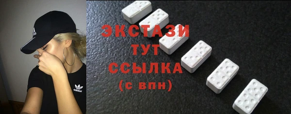 стаф Дмитровск