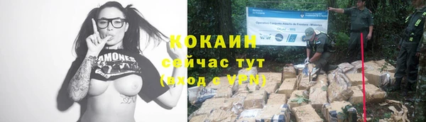 apvp Дмитриев