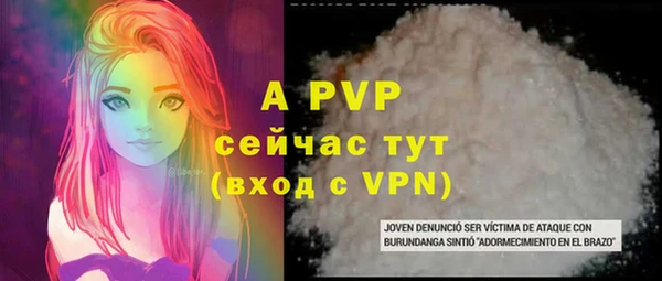 стаф Дмитровск