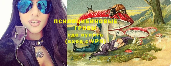 apvp Дмитриев