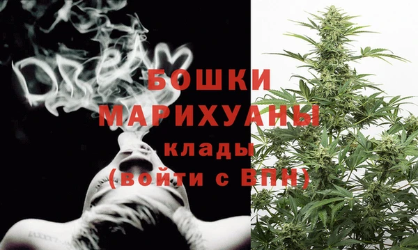 apvp Дмитриев