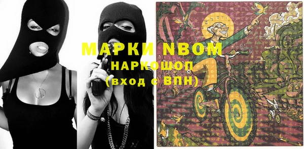 стаф Дмитровск
