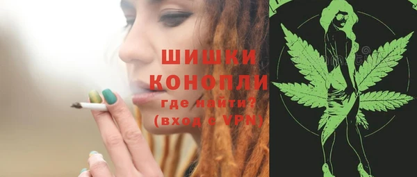 apvp Дмитриев