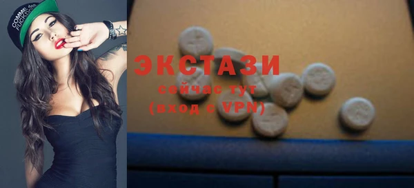 стаф Дмитровск