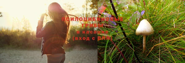 первитин Дмитров
