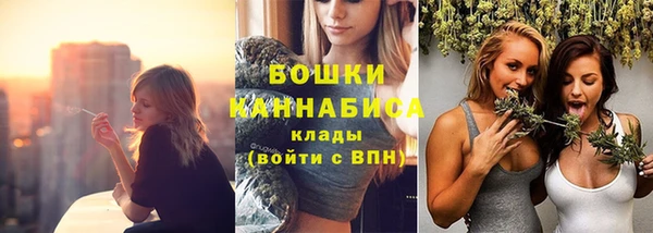 apvp Дмитриев
