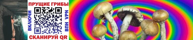 Галлюциногенные грибы MAGIC MUSHROOMS  Купить закладки  Каменск-Шахтинский 